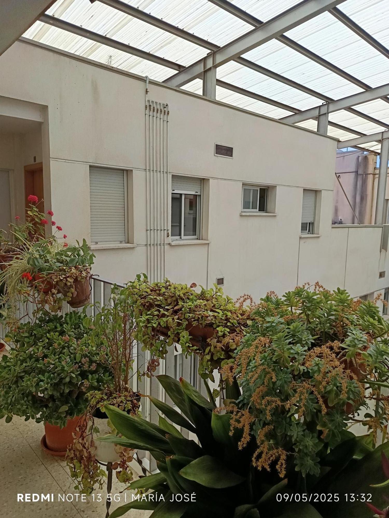Disfruta Granada,Incluso Con Tu Mascota Parking Apartment ภายนอก รูปภาพ